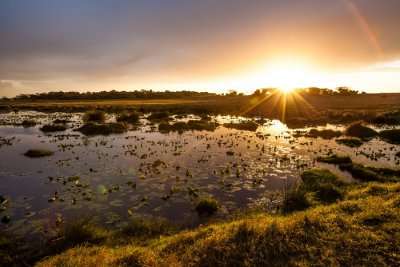 Isimangaliso Wetland Park