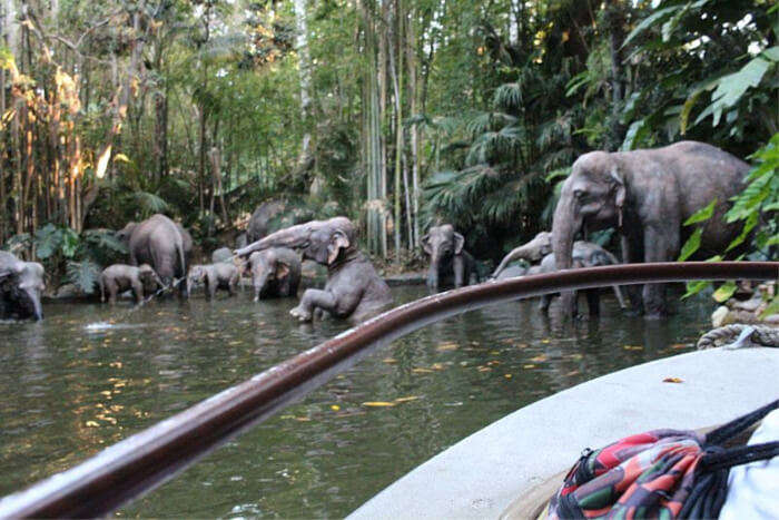 Jungle Cruise