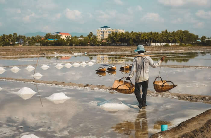 Kampot Salt Fields