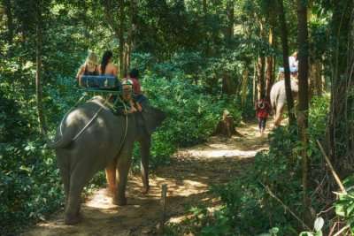 Khao Phenom Bencha National Park