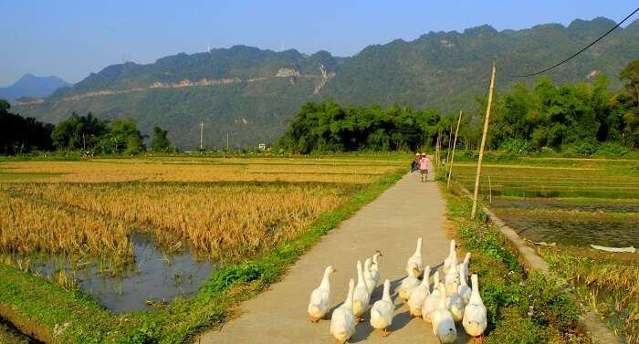     Small villages that create a beautiful landscape