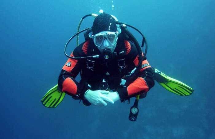 Scuba Dive In Milford Sound