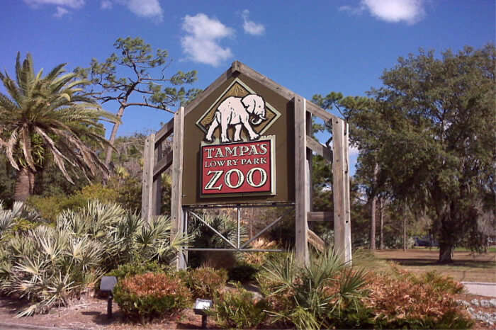 Tampa Zoo