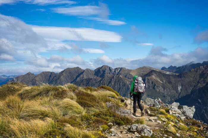 Walk Through Kepler Track