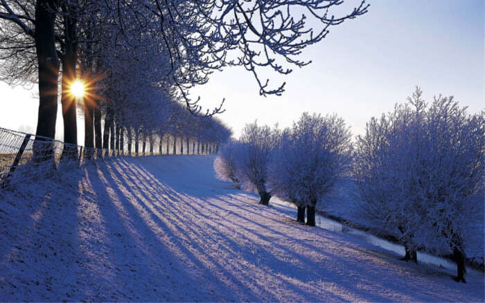 Weather In Netherlands In Winter