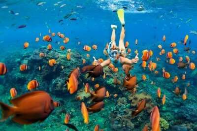 Amazing Spots for Snorkeling In Cambodia