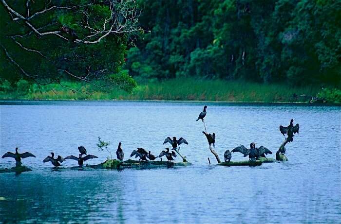 Lake Eacham