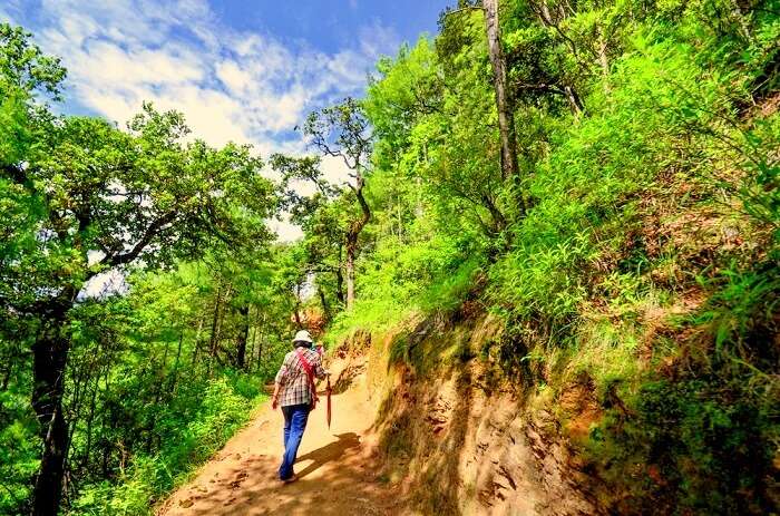 bhutan hiking tour