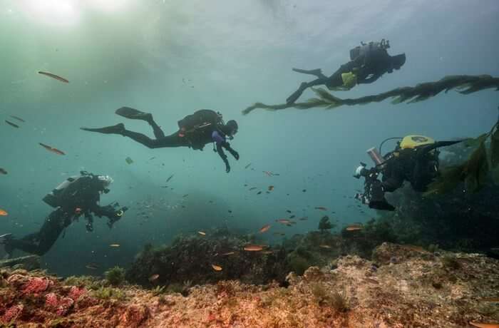 A Paradise for Scuba Divers