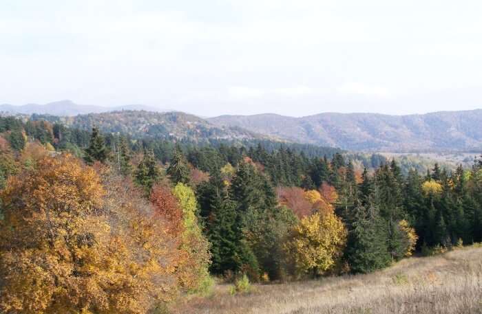 Algeti National Park