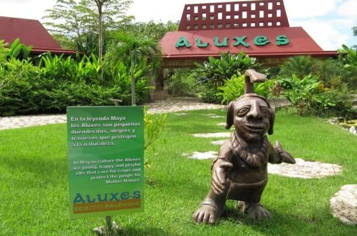 7 Best Zoos In Mexico For A Perfect Family Day Out