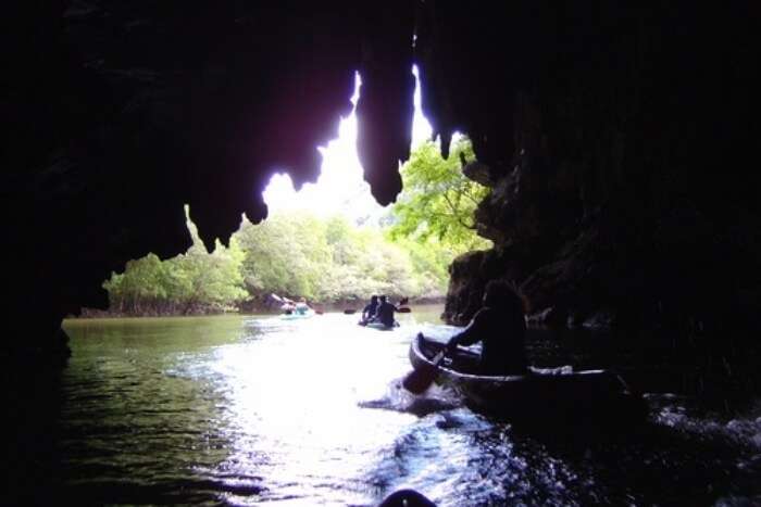 Ao Luk Mangroves and Caves