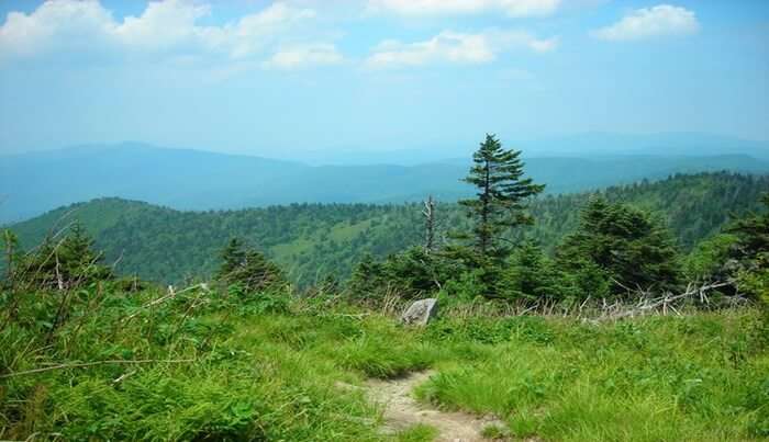 Appalachian National Scenic Trail