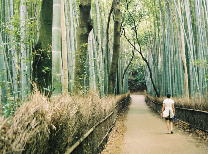 Arashiyama