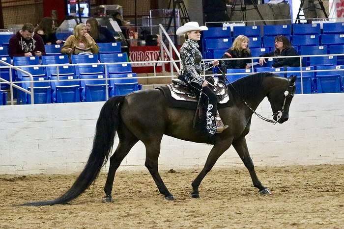 Arabian Horse ride