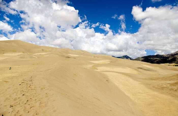 Sand Dunes View