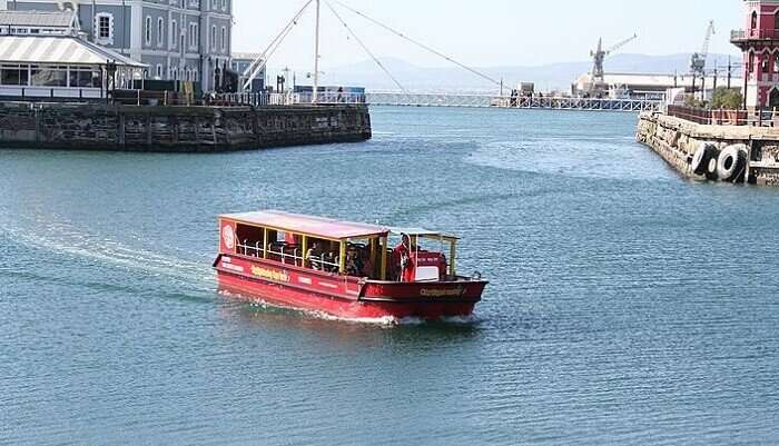 Boat Trip in south africa with kids