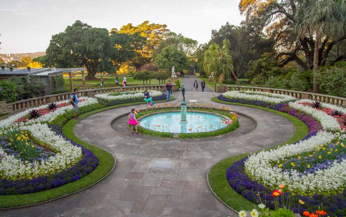 Botanical Gardens Of Sydney