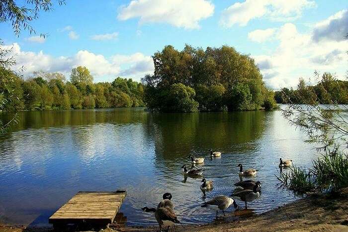 Chorlton Water Park