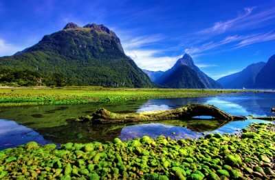 Milford Sound New Zealand