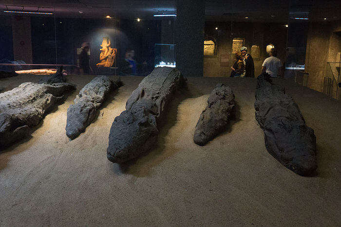 Crocodile Museum