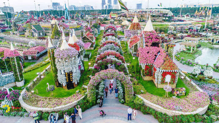 Dubai Miracle Garden in Dubai