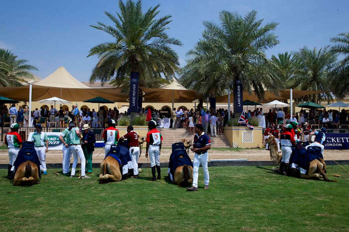 Dubai Polo And Equestrian Club in Dubai