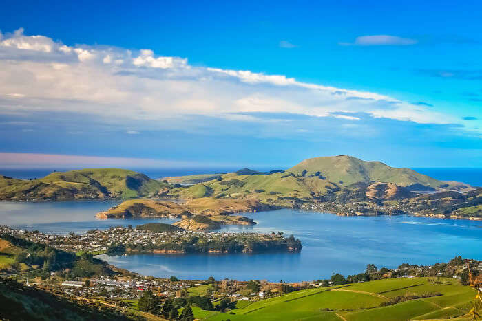 9 Best Places To Visit In Dunedin For An Adventurous Trip