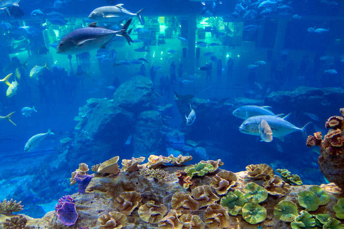 Emaar Aquarium