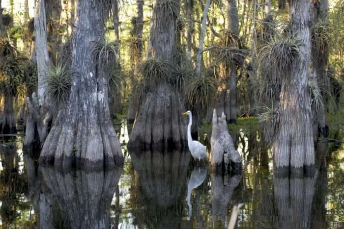 Everglades National Park