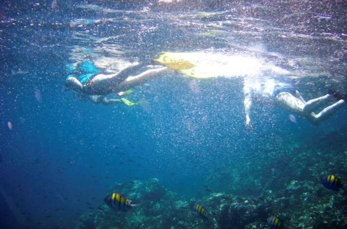 Experience The Sport Of Snorkelling