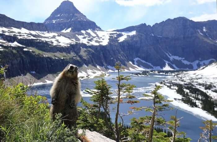 Glacier View