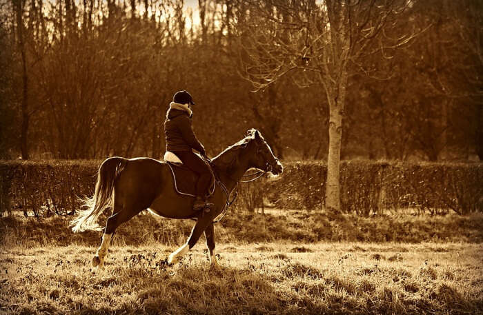 Horseback Riding