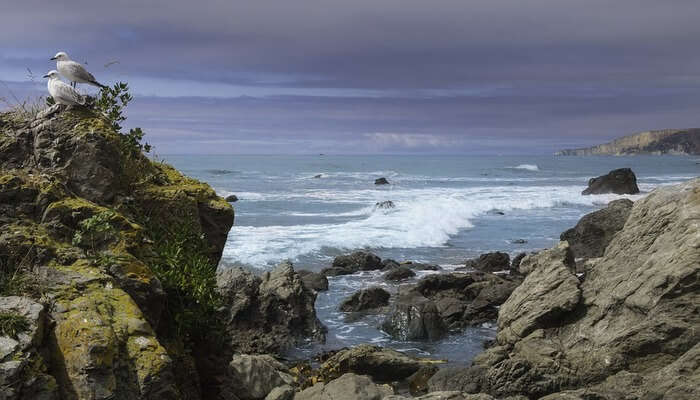 Kaikoura