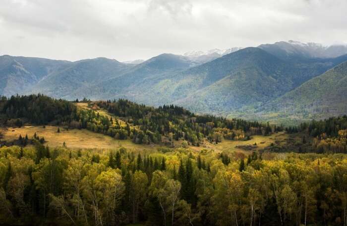 Katon-Karagay National Park