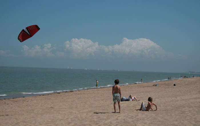 people on beach