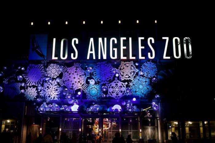 LA Zoo Lights