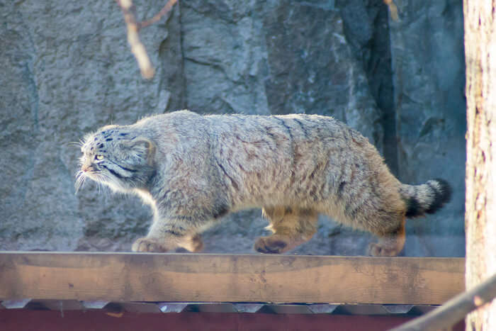 Zoo of Moscow