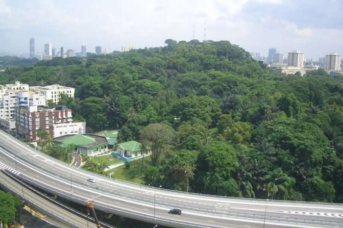 Mount Faber