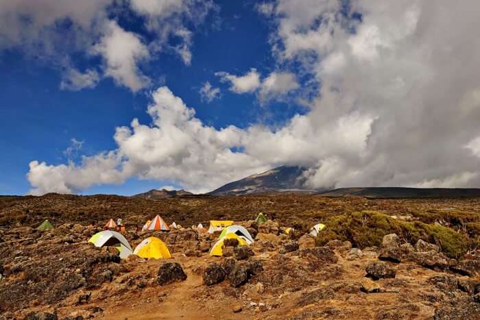 Mt.Kilimanjaro- Lemosho Route