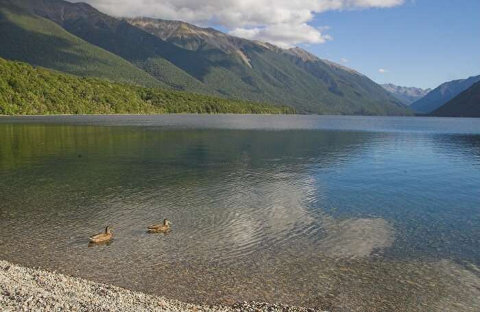 Nelson Lakes National Park