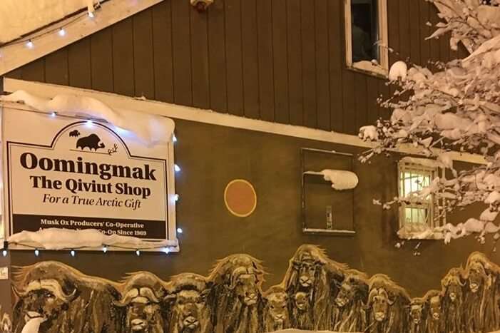 Oomingmak-Anchorage-Cooperative