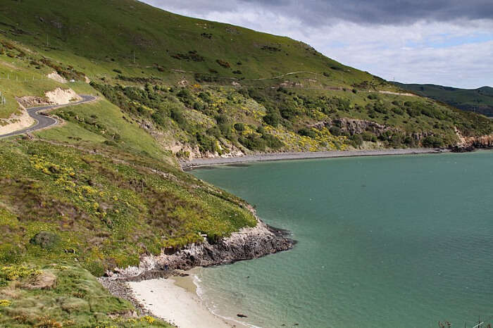 Otago Peninsula