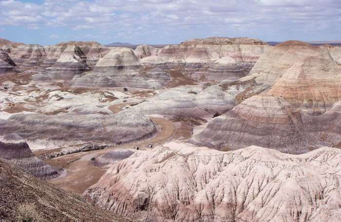 Petrified Forest National Park