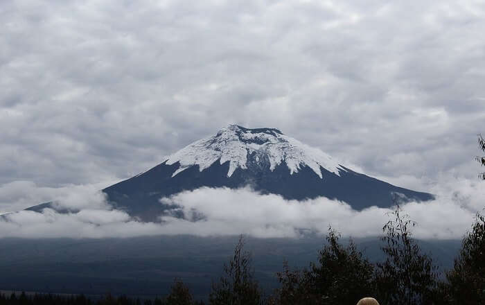 Mountain and fogg