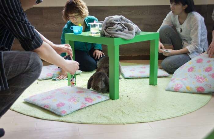 11 Japanese Cafes: Chill At These Quirky Japanese Hangouts
