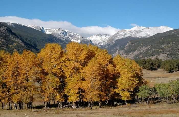 Mountain National Park View