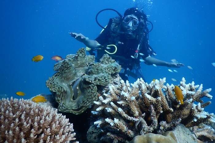 Scuba Diving in Italy Important Info