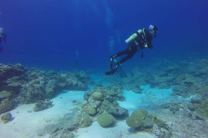 Diver Dive Palau Scuba Diving Scuba Diver Scuba