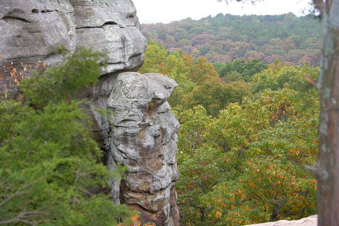 Shawnee national forest